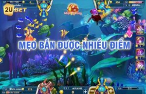 1635859250489 Những lưu ý quan trọng khi chơi bắn cá ăn tiền tại .app