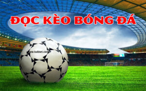 cach doc keo bong da tuibie Cách tính kèo trong bóng đá chính xác 100%.