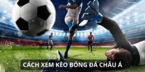 cach xem keo bong da chau a Cách xem kèo bóng đá Tài Xỉu dễ hiểu (Over/Under)