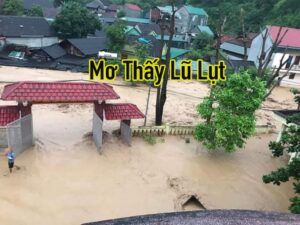 image 750x 6367dd6f5b4a7 Ngủ mơ thấy lũ lụt là điềm gì cho tương lai, đánh con gì lô đề thắng lớn