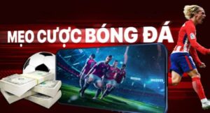 mc Cách tính kèo bóng đá trực tuyến dễ hiểu.