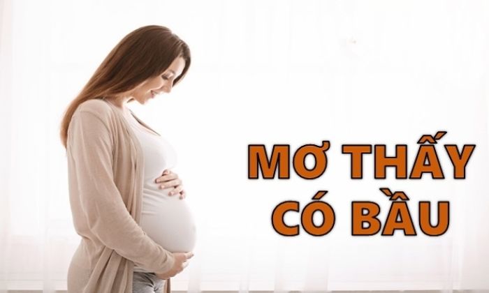 mo thay chinh minh mang thai la diem gi chon con so may nan nao 6892 2 Ngủ mơ thấy mình có bầu là điềm báo cho điều gì?