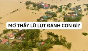 mo thay lu lut danh con gi Mơ thấy một trận lũ lụt to